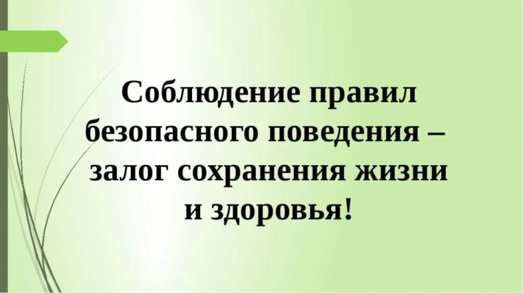 Профориентационные занятия для обучающихся.